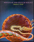 MOLECULAR AND CELLURAR BIOLOGY