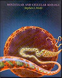 MOLECULAR AND CELLURAR BIOLOGY
